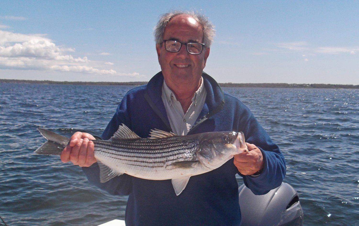 School striped bass: Fred DeFinis of Middletown with one of the many striped bass that he and his fishing partner caught between Colt State Park and Prudence Island last week.