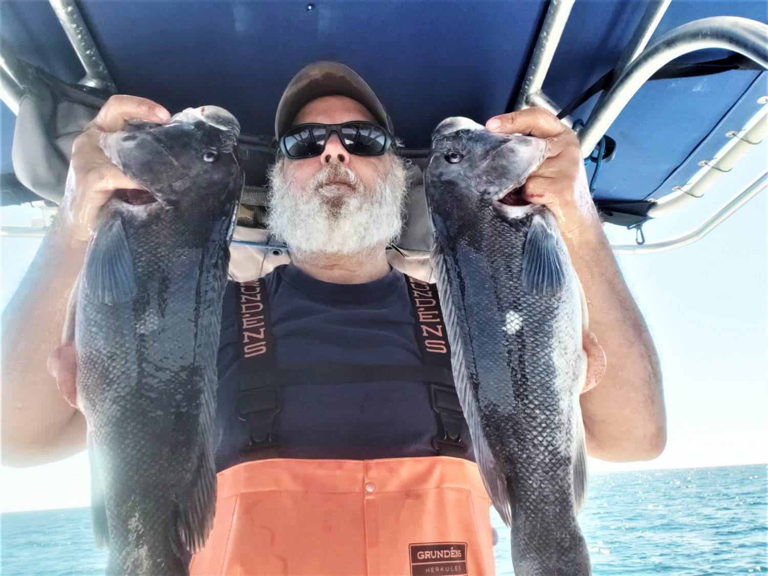 Tautog bite improving: Paul Phillips of North Kingstown with tautog he caught earlier this year. He fished Monday off Newport and caught 42 tautog several were keepers 16” to 20”.