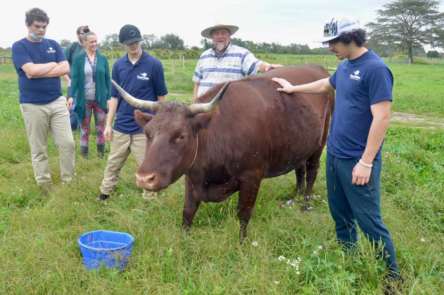 Fern, the herd leader at Cloverbud Ranch, is surrounded by Martin Beck (center) and students and staff from Ocean Tides School.