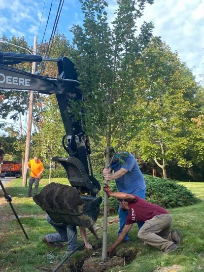 A crew from the Barrington Department of Public Works plants a tree as part of a service project for Kelly Gorman and her organization, Change for the Better.