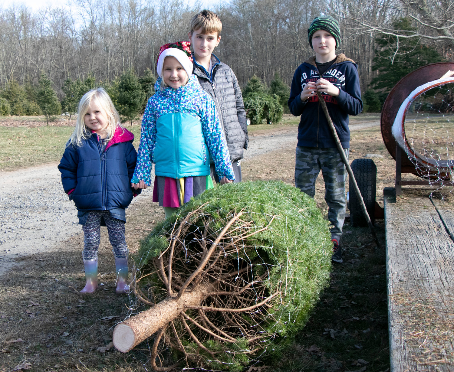 Ruthy Canney, 3, Josephine, 6, CJ, 8 and Theo, 10, pose with their tree, cut for them Sunday at Hidden Spruce.