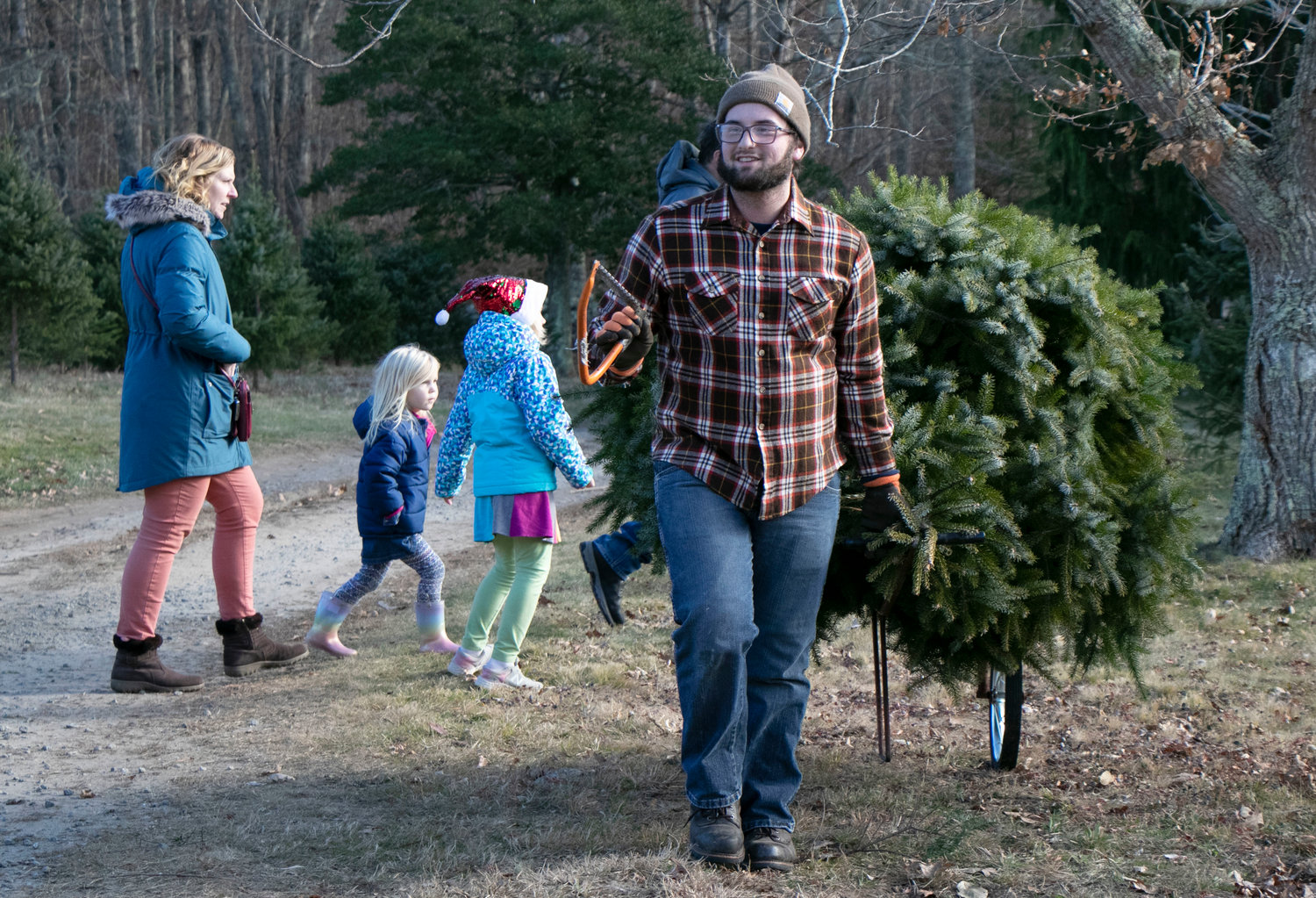 Travis Perry, who owns the Bay State Beef Company in Westport, helped bag trees for the family this first year.