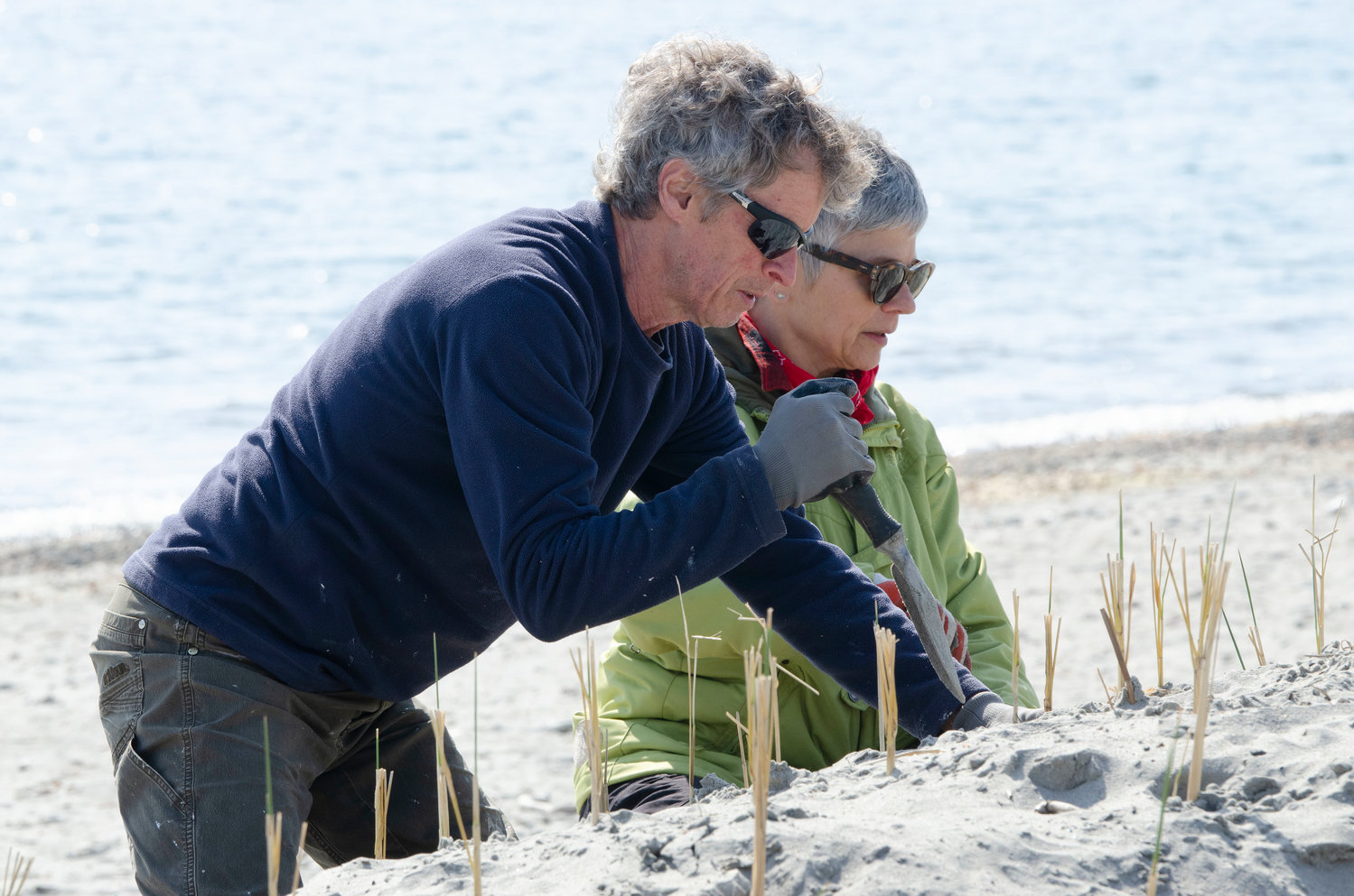 Bill Thompson (left) and Natalie Pangaro plant sea grass in the sand berms.