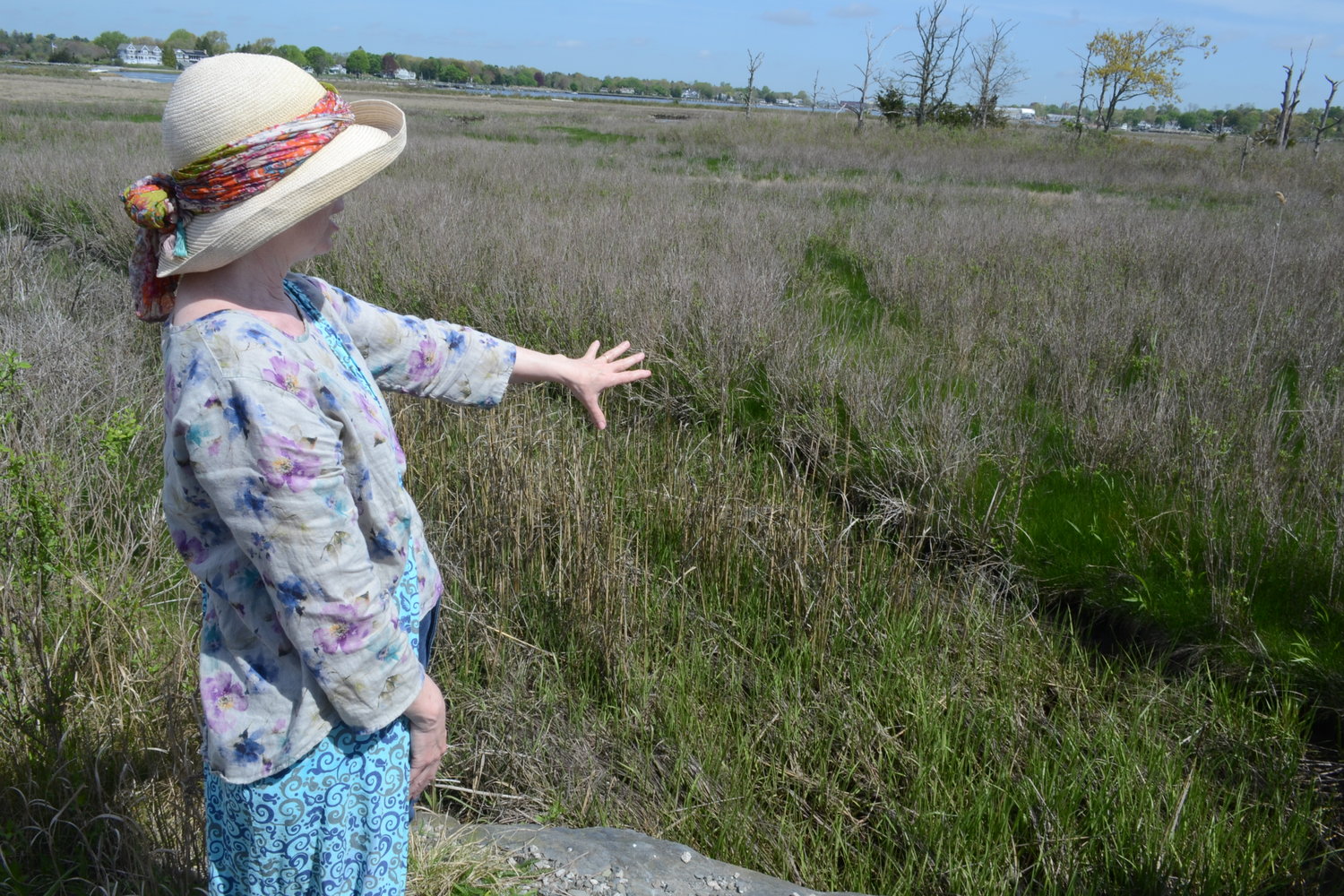 Jenny Flanagan, Treasurer of the Warren Land Conservation Trust Board of Directors, points to a culvert in Jacob’s Point. The group hopes to work with DEM to perform more work to improve tidal flow in the area.