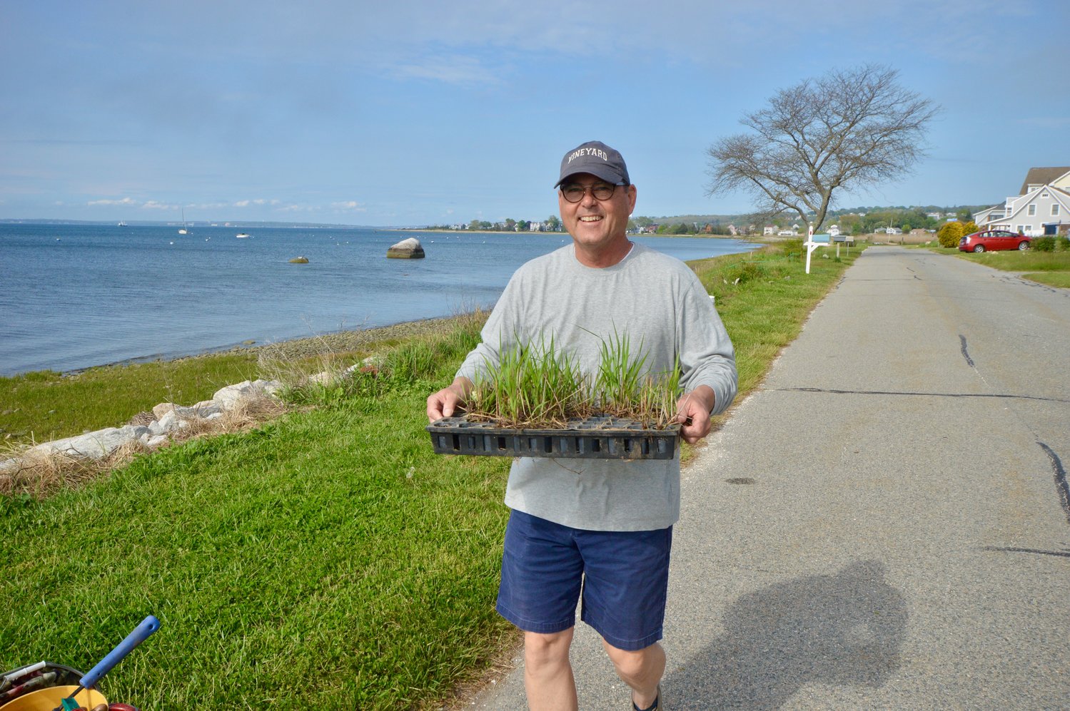Jeff Prater, who chairs the Shoreline Education and Preservation Action Committee in Common Fence Point, carries a tray of switchgrass for volunteers to plant along Common Fence Point Boulevard Monday afternoon. About 100 of that variety were planted.