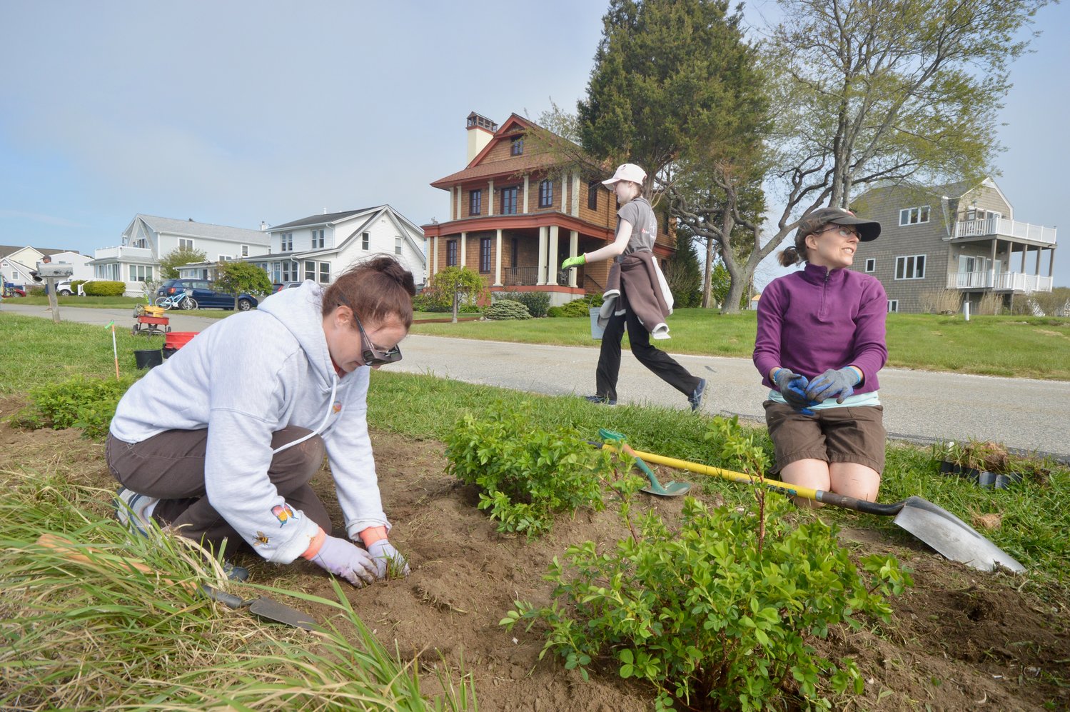 Volunteer Nicole Gotovich (left) and Wenley Ferguson of Save The Bay work during the “planting party” on Monday.