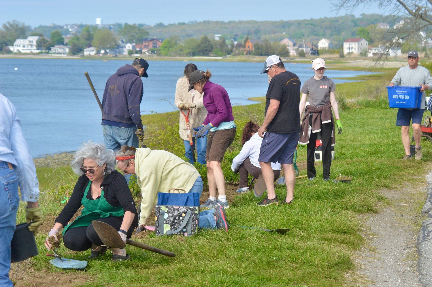 Volunteers plant a row of plants that are designed to mitigate the impact of coastal erosion along Common Fence Point Boulevard.
