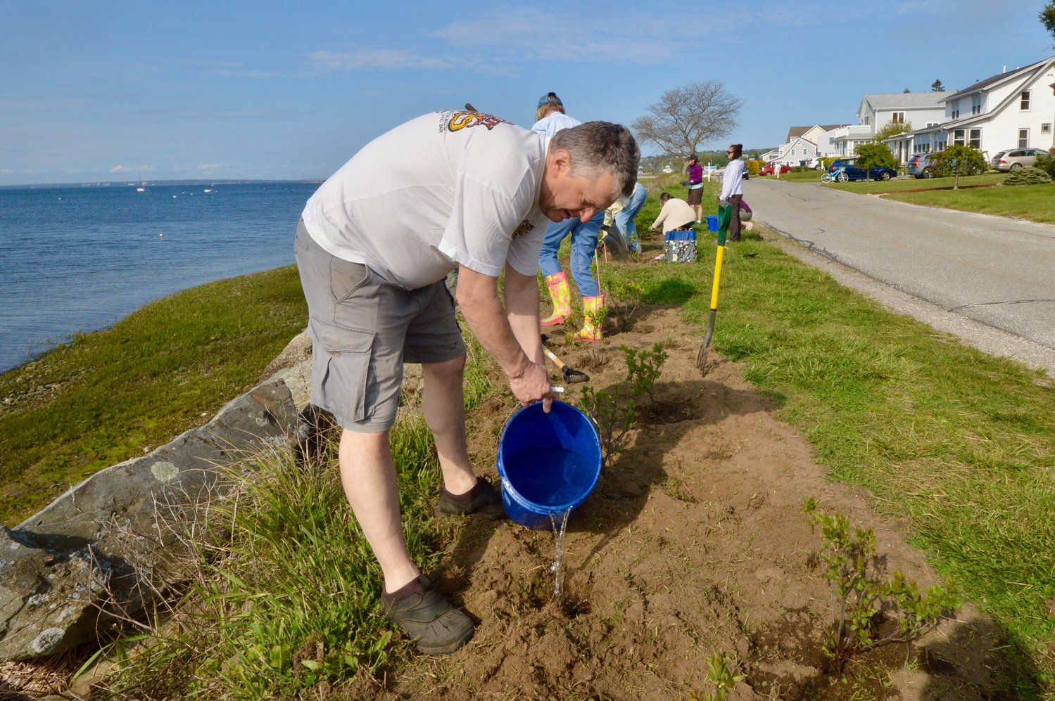 Volunteer Chuck Miksis waters a hole for a plant along Common Fence Point Boulevard Monday afternoon.