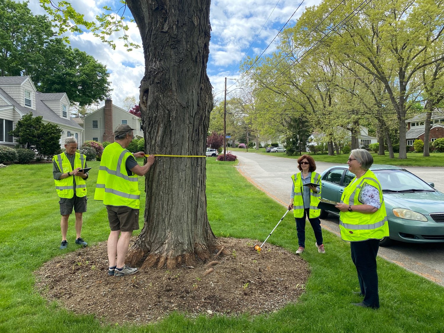 Volunteers are needed to help create a tree inventory in Barrington.