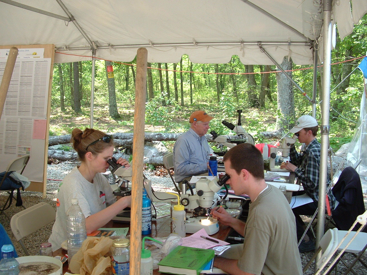 Teams count microscopic organisms as the 2 p.m. deadline approaches at the 2008 BioBlitz in Westerly.