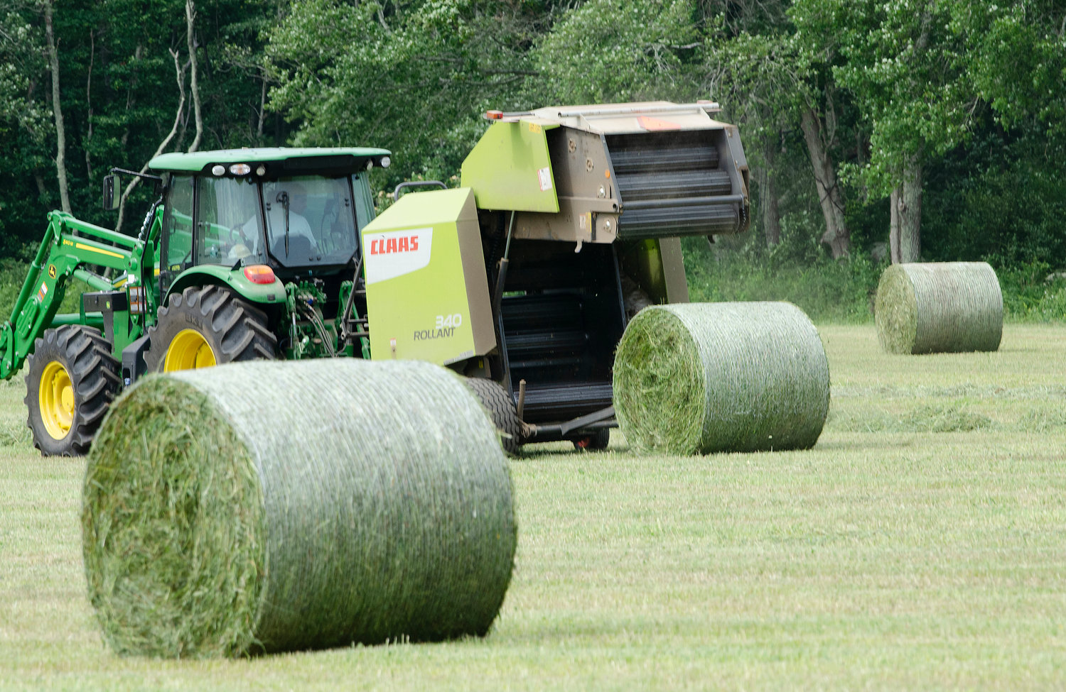 Fresh hay bales are rolled up at Hay Ray's on Main Road in Westport.