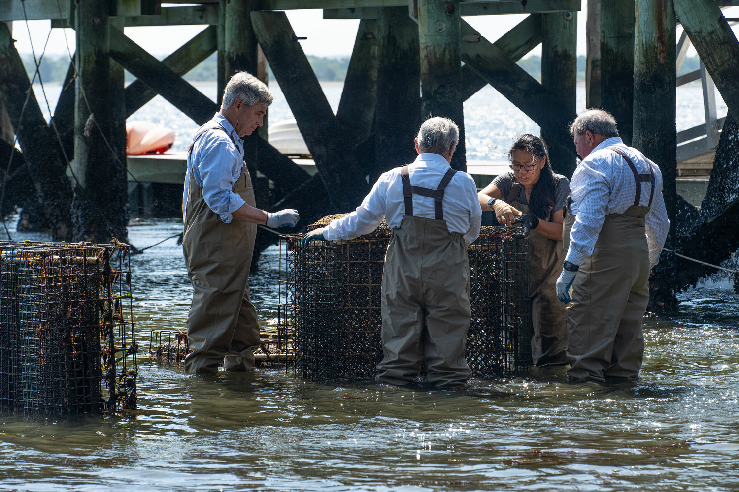 Susanna Osinski, a Roger Williams University shellfish field technician and research associate, leads Senators Sheldon Whitehouse (left) and Jack Reed (center) on a “wet tour” of the university’s oyster farm, along with RWU President Ioannis Miaoulis (right).
