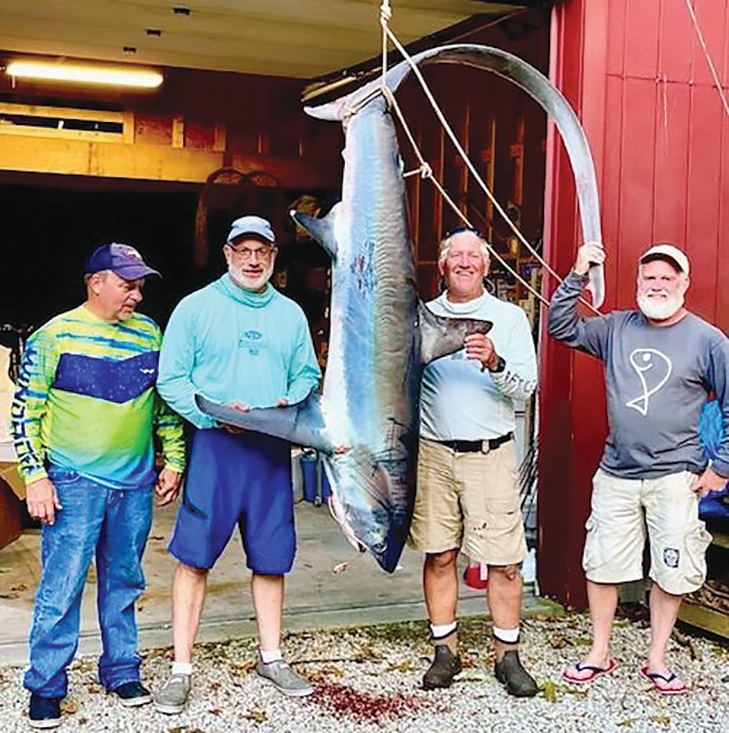 The author (second from left) and others caught this 11-foot thresher shark southeast of Newport, within sight of land, back in September. Anglers are seeing obvious changes in the local fishery, with cold-water fish like lobster and winter flounder migrating north, and warm-water bait fish like squid and mackerel moving in, attracting more sharks and tuna than ever before.