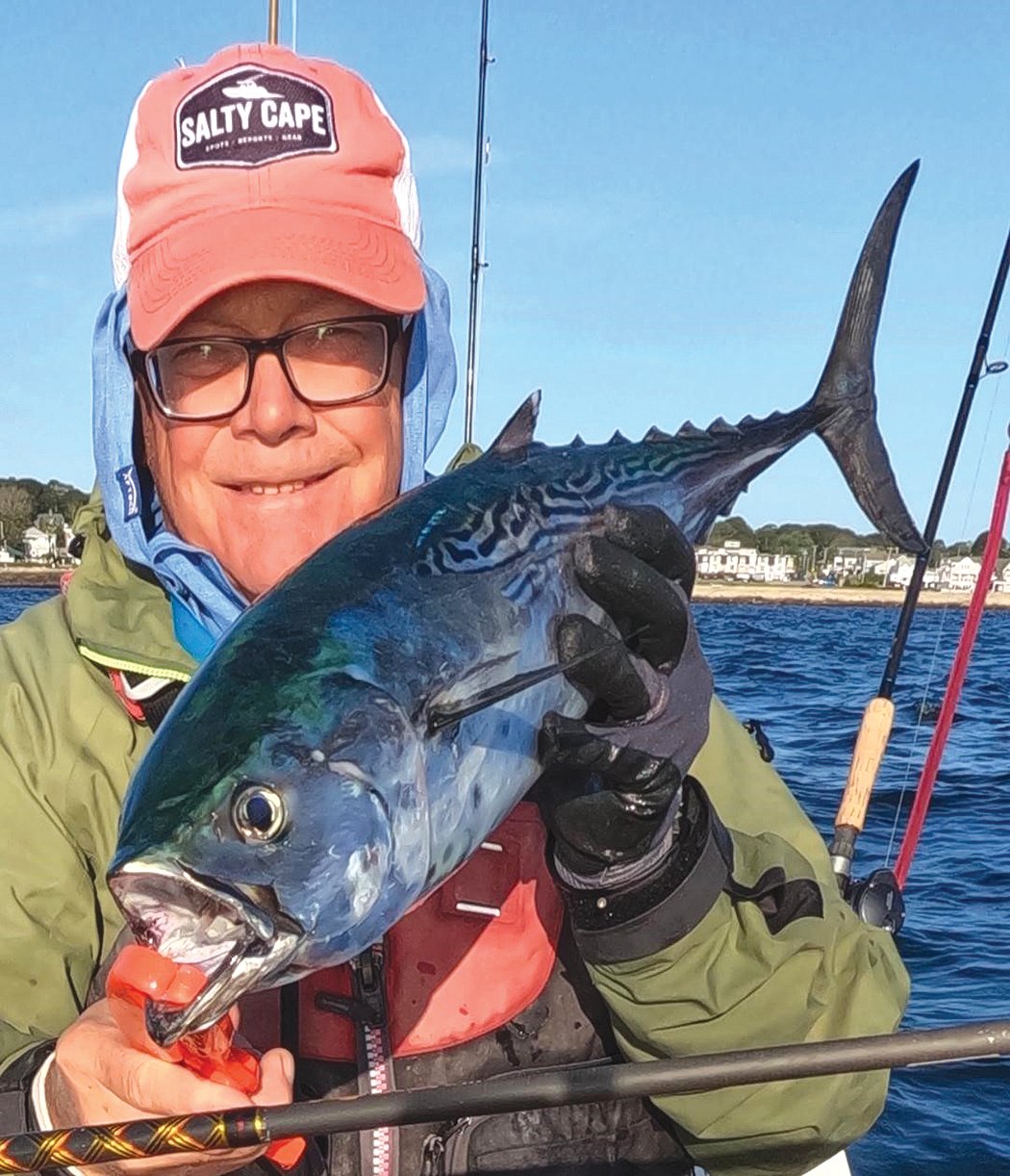 Tom Hood with a false albacore caught off Narragansett from his kayak. False albacore have grown in stature in the recreational fishing community. They are a data-poor stock.