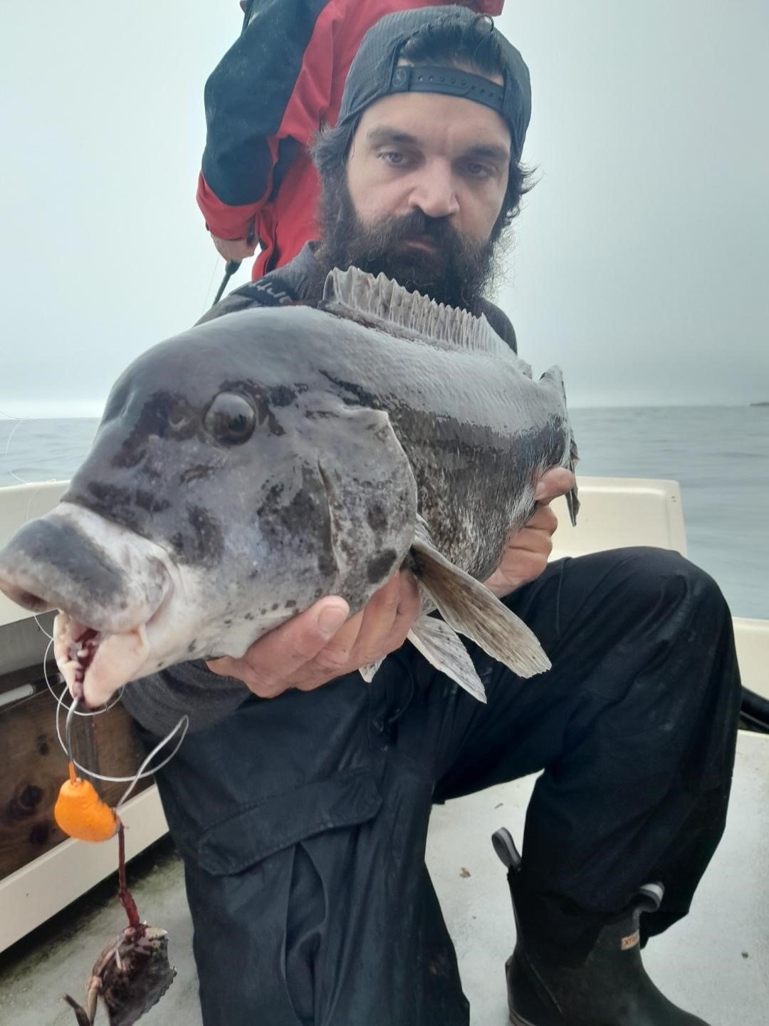 Jigs outperform any bait rig for Jeff Sullivan, shown here with at 13-pound tautog caught off Newport.