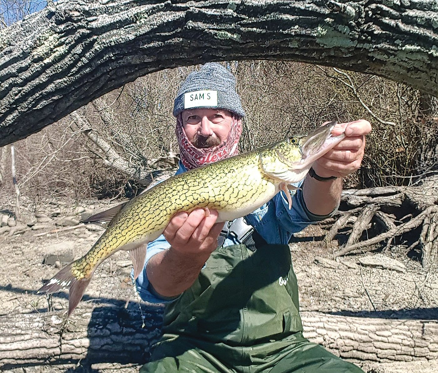 John Migliori with a 25.5-inch pickerel he caught on Aquidneck Island last week.