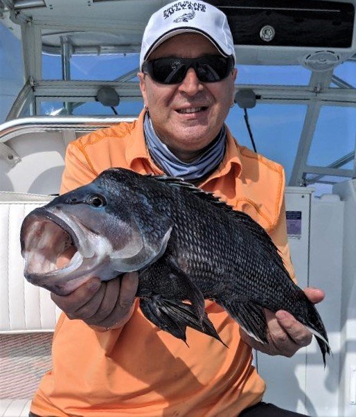 Black sea bass are fun to catch and eat; minimum size will likely be 16 1/2” this year.