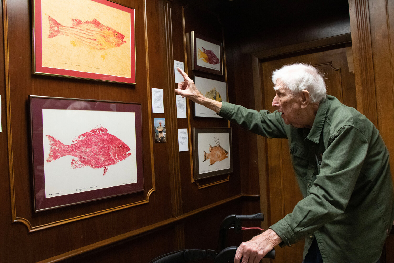 Tony Chatowsky points to a Gyotak print of a lane snapper he caught and which hangs in his new Fish Print Museum. “I like to show people fish they’re not familiar with,” he said.