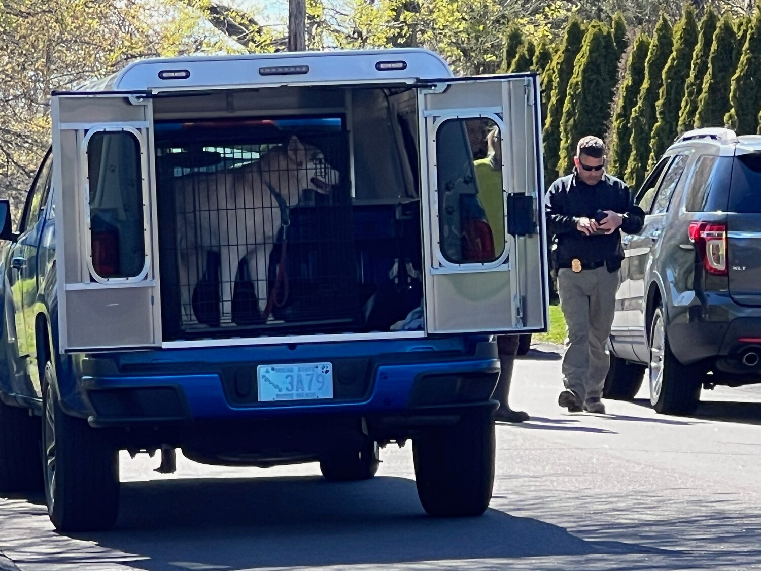 Rhode Island Society for the Prevention of Cruely to Animals special agent Earl Warren walks toward a truck loaded with seized animals Wednesday afternoon.
