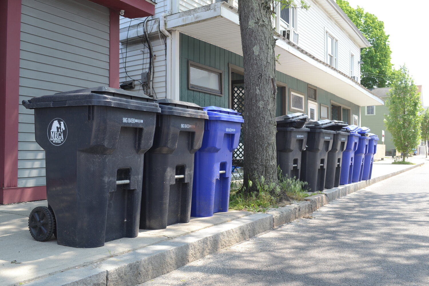 Trash and recycle bins sit lined up on Water Street.