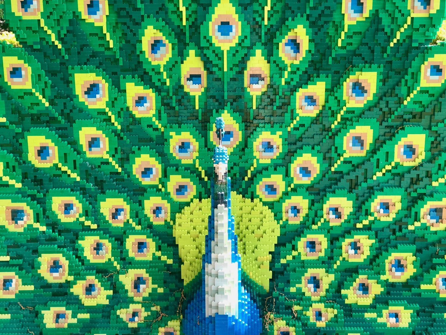 A detail of the peacock Lego exhibit.