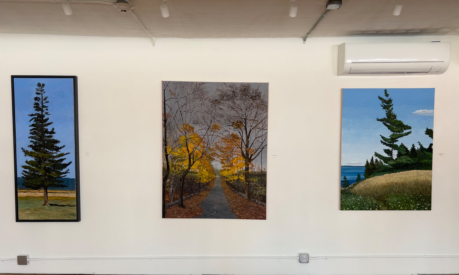 The exhibit, titled “Forest”, features beautiful depictions of various natural scenes anchored by trees and greenery. They were painted by Peter Devine.