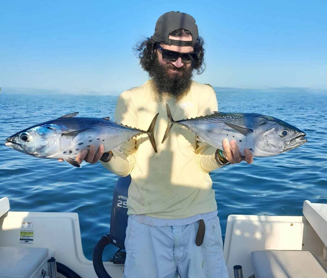 Jeff Sullivan of Lucky Bait & Tackle, Warren, with the two false albacore he caught at the same time while working two fishing rods off Brenton Reef, Newport.