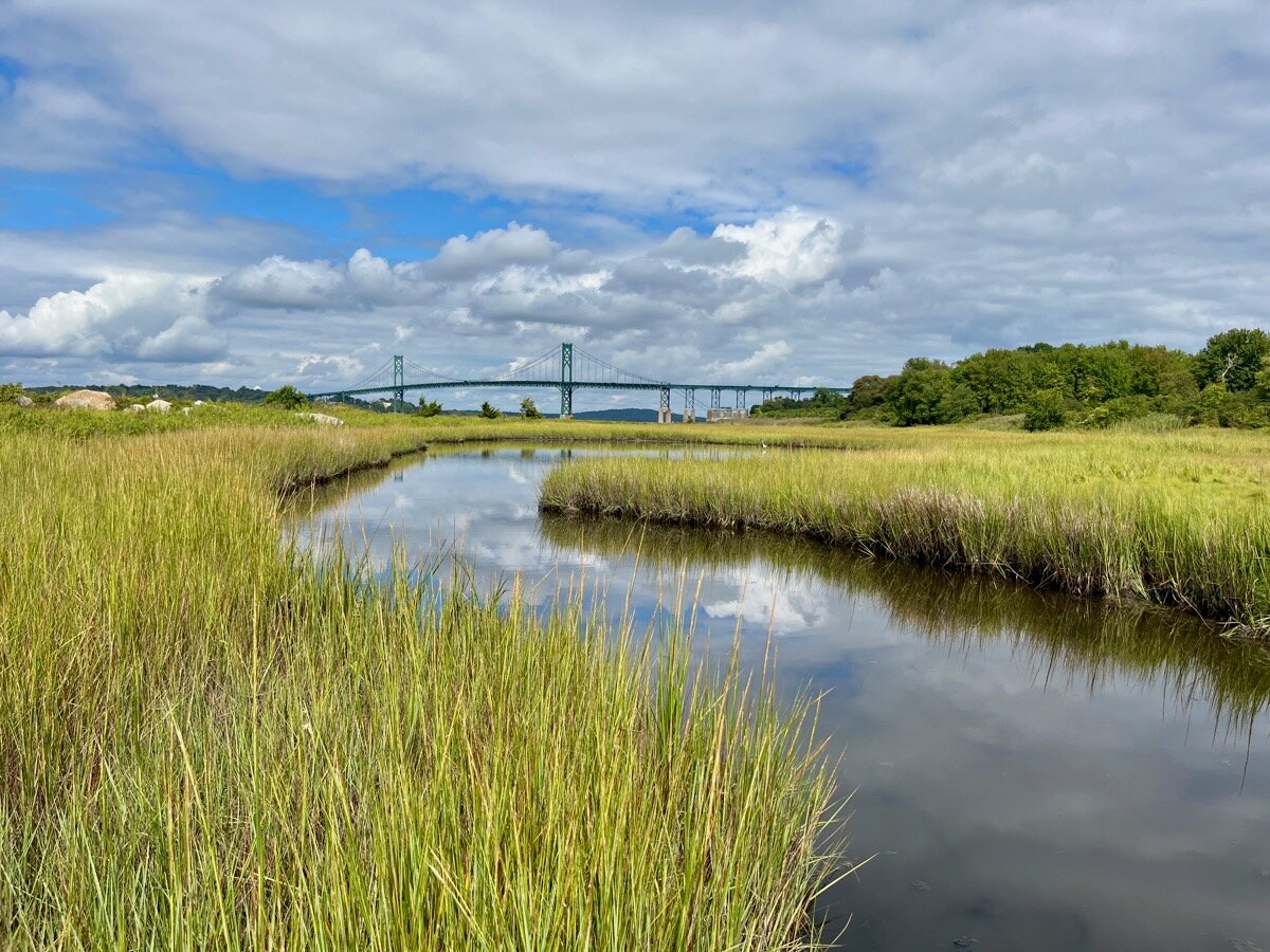 This 2.5-acre wetlands property on the town’s northwest shore was recently donated to Aquidneck Land Trust by members of the Sullivan family. The Mt. Hope Bridge is in the background.