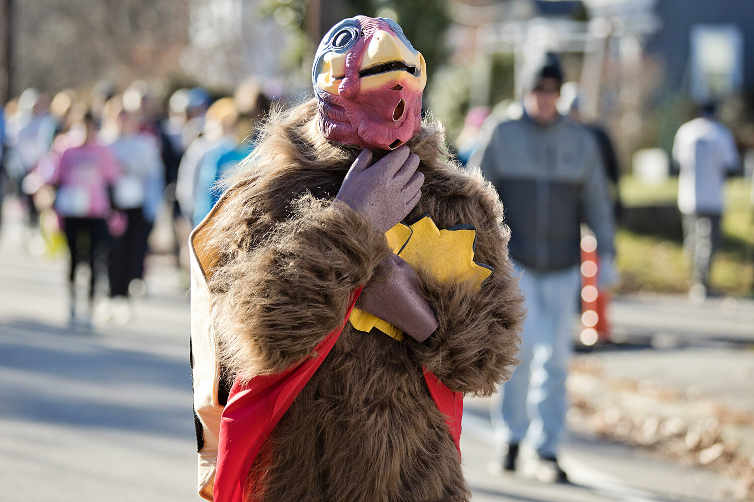 A turkey leads participants to the start of the Trot Off Your Turkey 5K race.