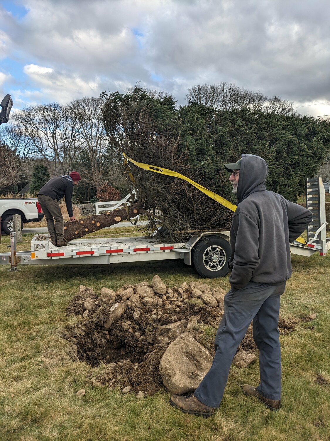 Ray Elias oversees the removal of the large spruce from his home on Holly Lane last week.