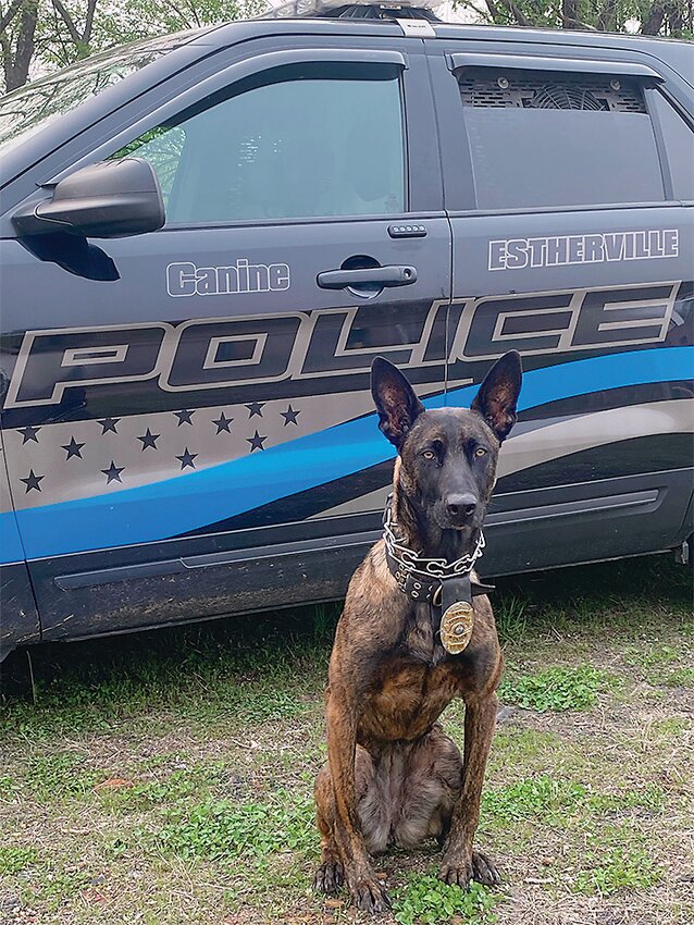 Estherville Police Department’s K9 Pepper to get donation of body armor ...