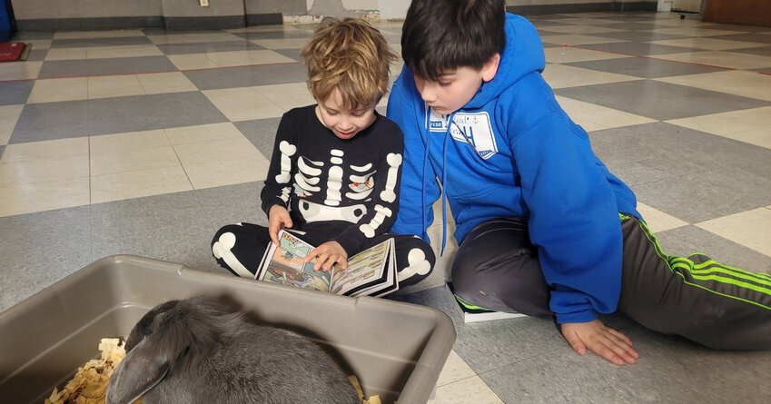 Scenes from Reading Day 2025.