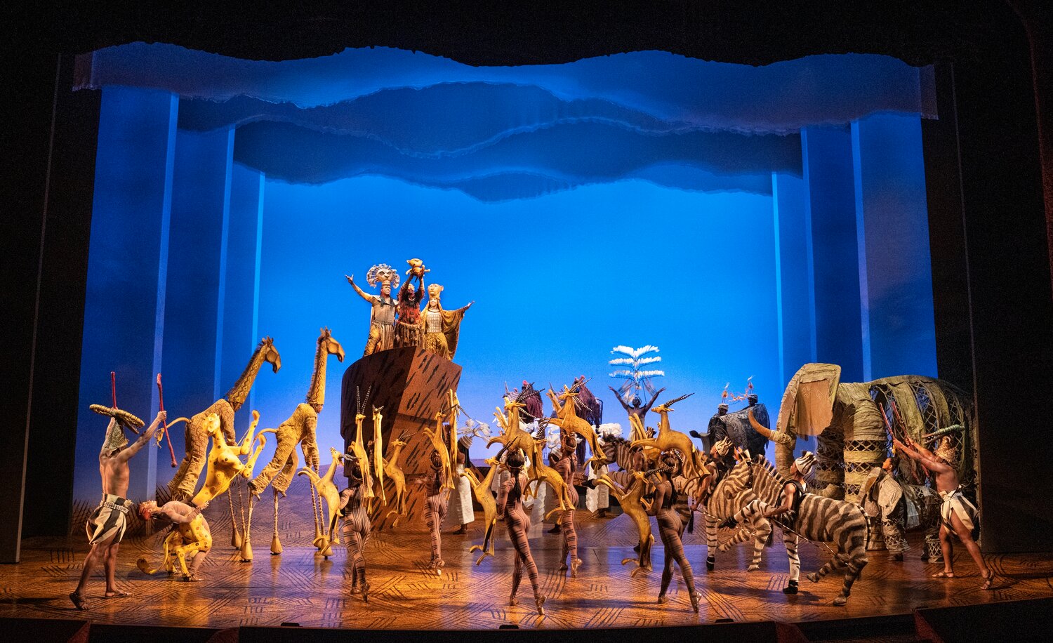 Jewish actor Sam Linda is the pride of ‘Disney's The Lion King' coming soon on tour to PPAC