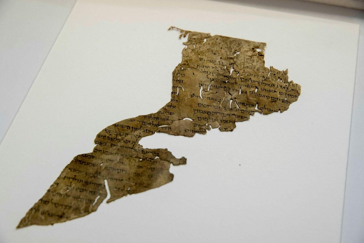EU funding huge project on the origins of the Dead Sea Scrolls