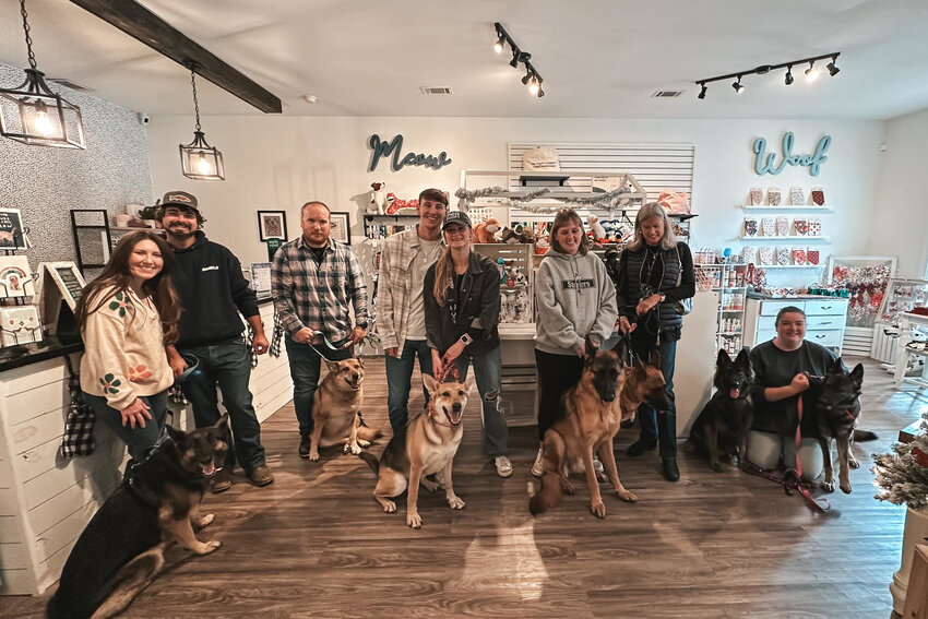 Modern Companion pet boutique in Chapin