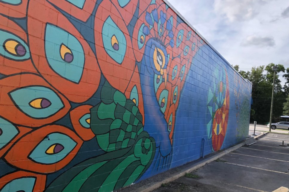 Kevin Pettit’s peacock mural looks out on Cayce.