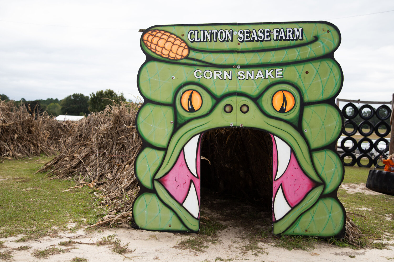 The fall attractions at Clinton Sease Farm include a corn maze, a pumpkin patch and the haunted house Deceased Farm.