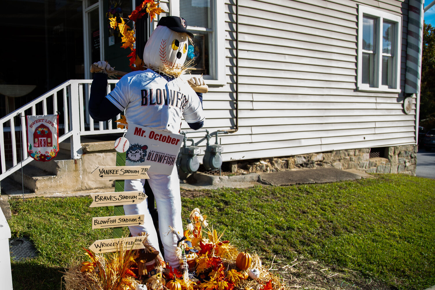 The Lexington County Blowfish entry into the Town of Lexington's downtown scarecrow contest