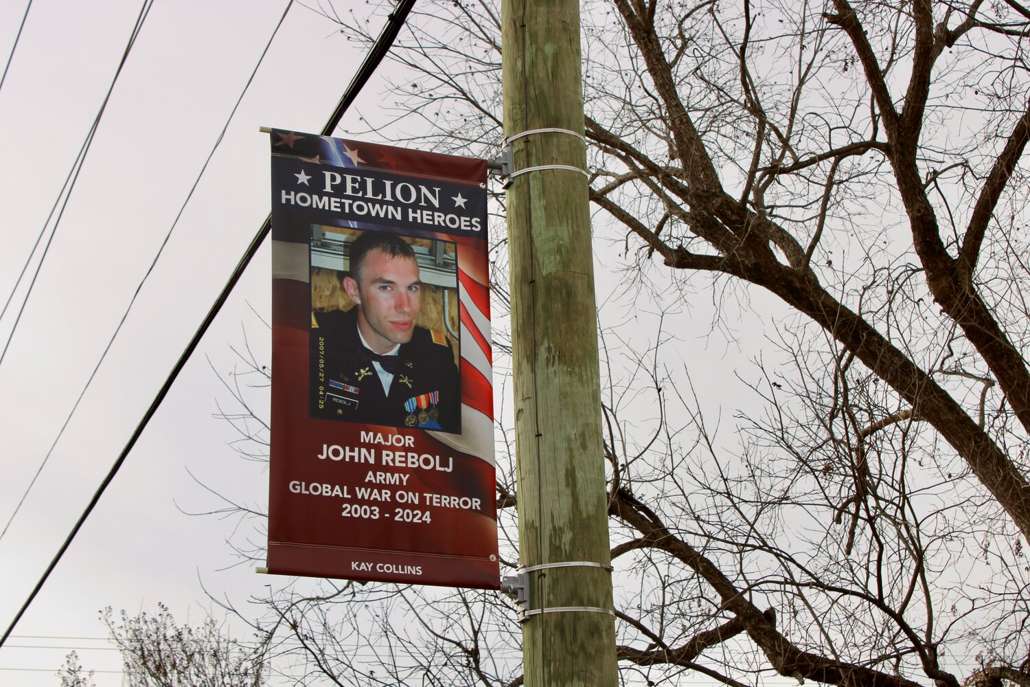 TOWNFALL: A gift or something else? Power and police in Pelion. - Lexington County Chronicle