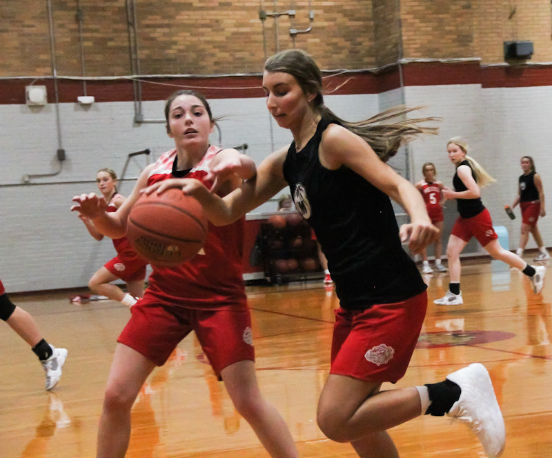Mexico sophomore Claire Hudson (above) and senior Lexie Willer are expected to lead the scoring this season after averaging totals behind graduated Mya Miller and Riley Thurman last season.