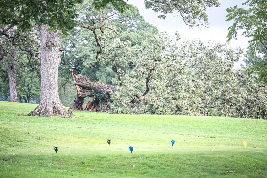 An old oak tree didn&rsquo;t survive the strong winds that came with a storm overnight last Friday into Saturday morning at the Mexico Country Club.