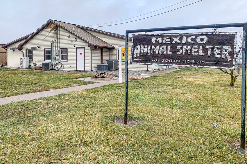 Some building materials that were removed by firefighters were still sitting on the front lawn of the Mexico Animal Shelter a few days after a fire at the building.