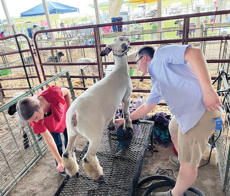 Audrain County Youth Fair 2024 promises something for everyone as area youth will be in focus yet again.