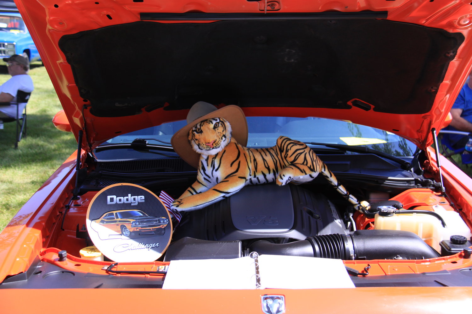 Orange you glad this menacing tiger stood watch over this shiny Dodge Challenger at the Graf & Sons Car Show at the Mexico Elks Lodge? WE AIN'T LION