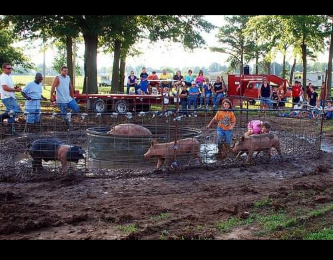 The Vandalia Fair Board continues to try and provide locals with events to attend and bring the community together. Once again, the Family Summer Palooza is upon them and kicks off 10 a.m. Saturday.                                                             [Submitted photo]
