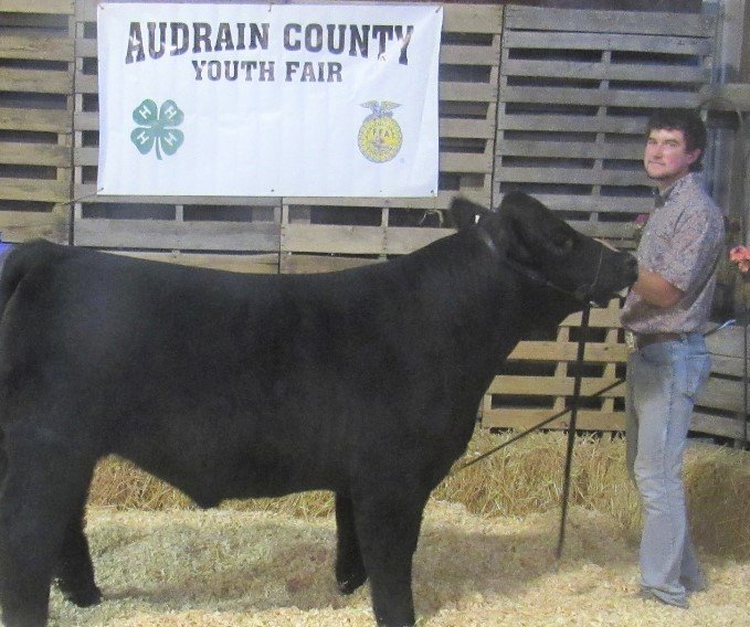 Beef Show Lance Hudson : Lance Hudson was the top performer and this year’s Beef Steer winner. (photo by Cindy Parrish)