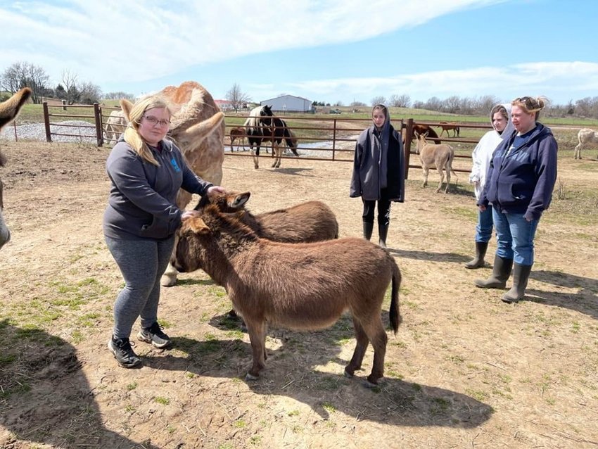 T&amp;amp;D Donkey Rescue is a 501c3 nonprofit dedicated to rehabilitating at-risk, neglected, abandoned and abused donkeys in the four-state area.