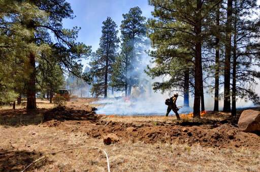 This photo provided by the Rincon Valley Fire District shows crews working a wildfire on the outskirts of Flagstaff, Ariz., on Tuesday, June 14, 2022. Rain in the forecast later this week could help firefighters battling the blaze. (Rincon Valley Fire District via AP)