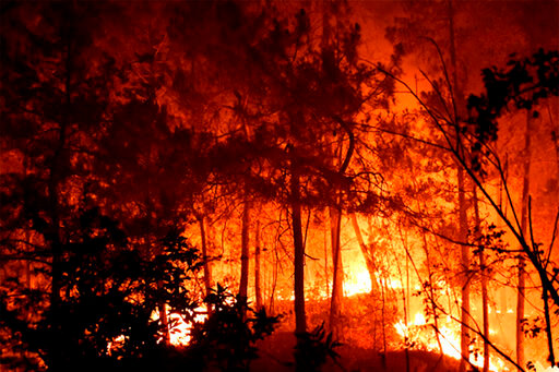 This photo provided by the SDIS30 fire brigade shows trees burning during a fire Thursday, July 7, 2022 near Bordezac, in southern France. Hundred of firefighters backed by water-dropping planes battled a large forest fire Friday in southeast France that has forced the evacuation of nearby villages.Thirteen firefighters have been injured in Bordezac &mdash; the village where the fire started. (SDIS30 via AP)
