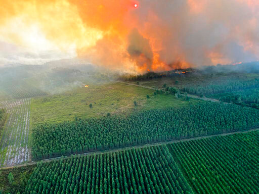 This photo provided by the fire brigade of the Gironde region (SDIS 33) shows a wildfire near Landiras, southwestern France, Sunday July 17, 2022. Firefighters battled wildfires raging out of control in France and Spain on Sunday as Europe wilted under an unusually extreme heat wave that authorities in Madrid blamed for hundreds of deaths. (SDIS 33 via AP)